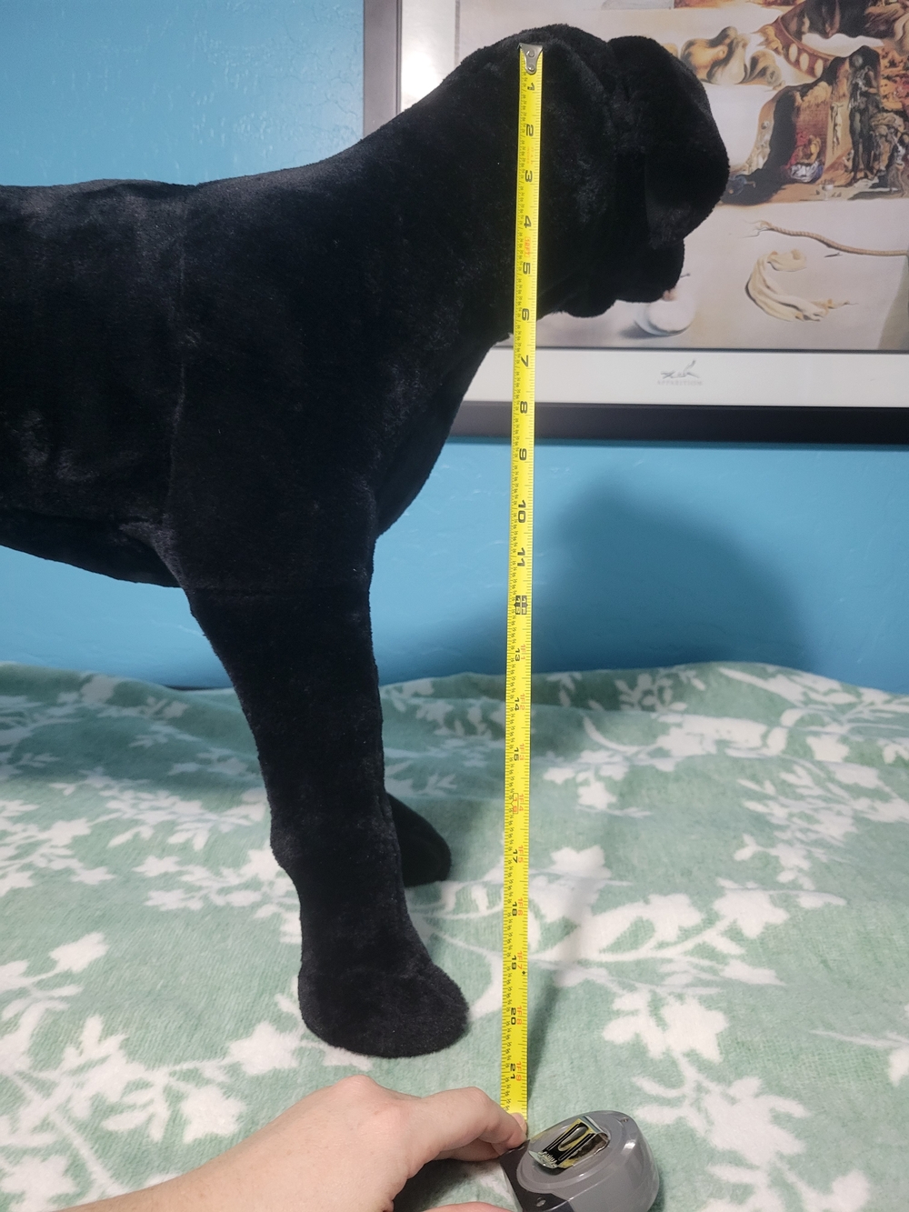 Black Plush Dog Toy - Soft Pet Plushie - Picture 5 of 15
